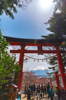 Fujiyoshida City, Yamanashi ili, Japonya 8 Nisan 2018: yakın geçitte Fuji Dağı'nın (Mt. Fuji) içinde kiraz çiçekleri bahar güneşli gün berrak mavi gökyüzünün doğal arka plan ile. Arakurayama Sengen Park, Fujiyoshida City, Yamanashi ili, Japonya