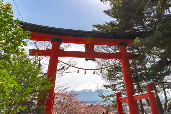 Yakın çekim yakın geçitte Fuji Dağı'nın (Mt. Fuji) içinde kiraz çiçekleri bahar güneşli gün berrak mavi gökyüzünün doğal arka plan ile. Arakurayama Sengen Park, Fujiyoshida City, Yamanashi ili, Japonya