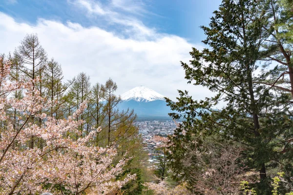 クローズ アップ雪桜桜に青い空を背景に富士山 富士山 を覆われた春の晴れた日 山梨県富士吉田市荒倉浅間公園 — ストック写真