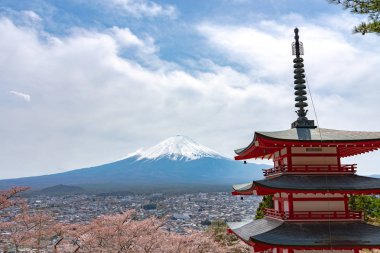 Fuji Dağı'nın görüntülendi Chureito Pagoda arkasından tam bloom kiraz çiçekleri bahar güneşli gün berrak mavi gökyüzünün doğal arka planda. Arakurayama Sengen Park, Fujiyoshida, Yamanashi ili, Japonya