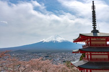 Fuji Dağı'nın görüntülendi Chureito Pagoda arkasından tam bloom kiraz çiçekleri bahar güneşli gün berrak mavi gökyüzünün doğal arka planda. Arakurayama Sengen Park, Fujiyoshida, Yamanashi ili, Japonya
