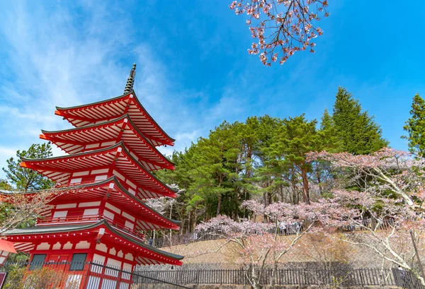 Fujiyoshida City Yamanashi Prefektur Japan April 2018 Full Blom Vackra — Stockfoto