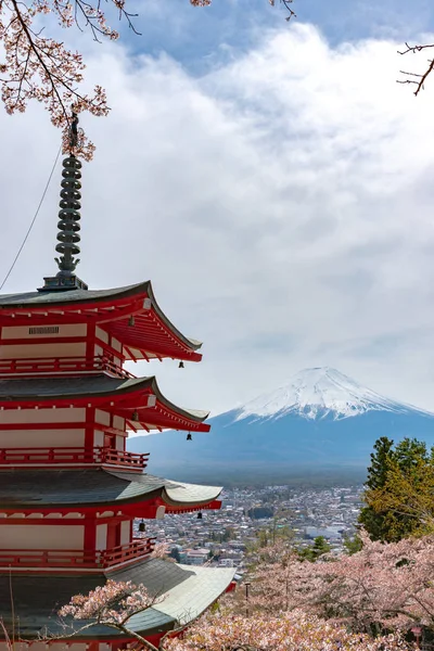 Fuji Dağı'nın görüntülendi Chureito Pagoda arkasından tam bloom kiraz çiçekleri bahar güneşli gün berrak mavi gökyüzünün doğal arka planda. Arakurayama Sengen Park, Fujiyoshida, Yamanashi ili, Japonya