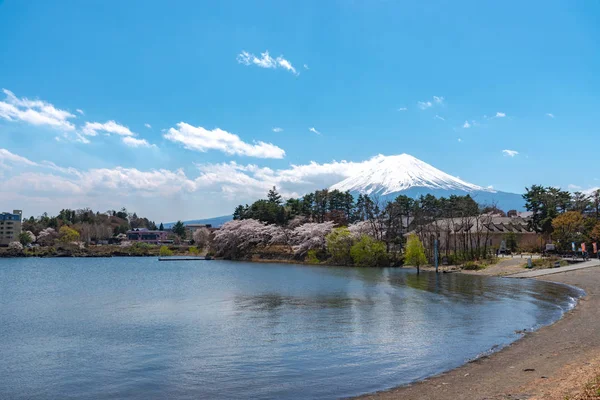 春の晴れた日の青空自然背景湖川口公園で満開ピンクの桜の花と富士山の眺め 富士河口湖町桜祭り 山梨県笛吹市 — ストック写真