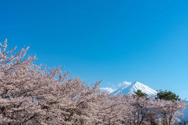 Close Snow Covered Mount Fuji Fuji Blue Sky Background Pink — Stock Photo, Image