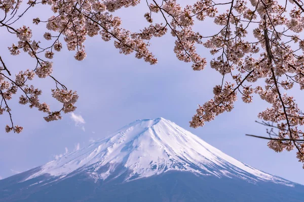 Närbild Snötäckta Berget Fuji Fuji Med Blå Himmel Bakgrund Rosa — Stockfoto