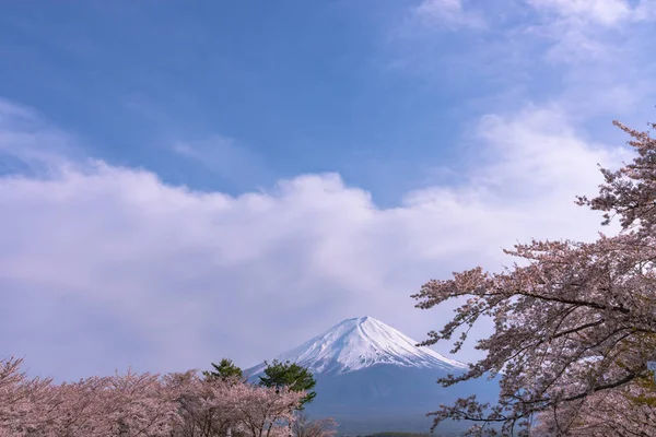 Primo Piano Innevato Monte Fuji Fuji Con Sfondo Blu Cielo — Foto Stock