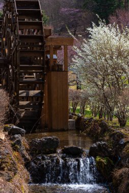 Geleneksel ev, bahar bahçe Mt. Fuji yakınındaki antik Oshino Hakkai Köyü'nde, Fuji beş göl bölgesi, Minamitsuru bölgesi, Yamanashi ili, Japonya. Seyahat hedef için mimari peyzaj