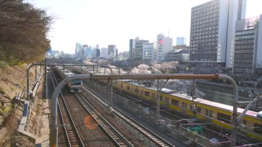 Kiraz çiçeği Sotobori Park'ta. Tokyo, Japonya. Sotobori Park boyunca dış hendek, Jr Chuo satırlı, Sobu-Line Yotsuya istasyonu Iidabashi istasyonundan izleyen ünlü kiraz çiçekleri spot olduğunu.