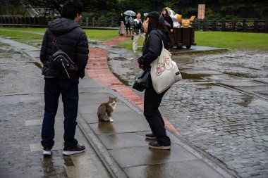 Houtong, Tayvan - 17 Şubat 2019: Houtong kedi köyü. Tayvan ünlü kedisi nüfus. Ruifang semtinden, New Taipei City, Tayvan bırakarak Pingxi tren hattı boyunca köyüdür.