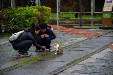 Houtong, Tayvan - 17 Şubat 2019: Houtong kedi köyü. Tayvan ünlü kedisi nüfus. Ruifang semtinden, New Taipei City, Tayvan bırakarak Pingxi tren hattı boyunca köyüdür.
