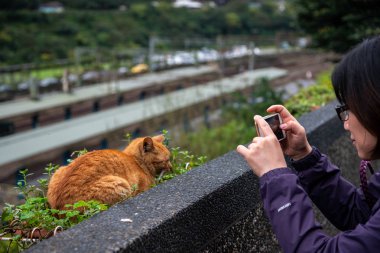 Houtong, Tayvan - 17 Şubat 2019: Houtong kedi köyü. Tayvan ünlü kedisi nüfus. Ruifang semtinden, New Taipei City, Tayvan bırakarak Pingxi tren hattı boyunca köyüdür.