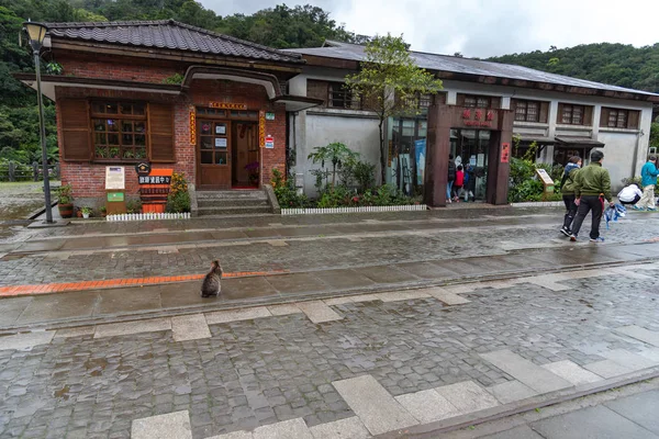 侯トウ 2019 侯トウ猫村 台湾の有名な猫の人口 Ruifang 新台北市 台湾から平渓鉄道線に沿って — ストック写真