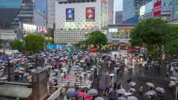 日本东京涩谷 2019年5月1日 在涩谷区 在雨天 在涩谷地区行人步行道的第一天 Reiwa Jidai 涩谷十字路口是世界上最繁忙的人行横道之一 — 图库视频影像