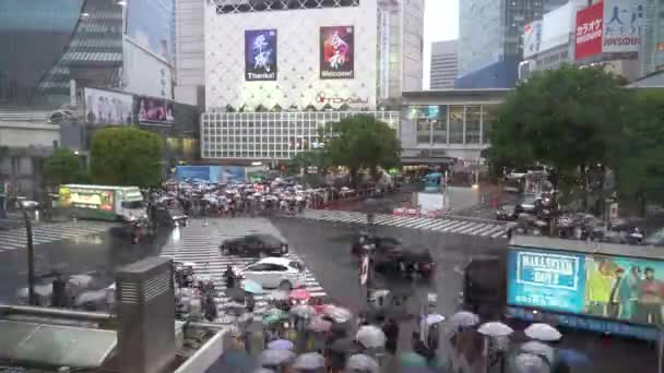 日本东京涩谷 2019年5月1日 在涩谷区 在雨天 在涩谷地区行人步行道的第一天 Reiwa Jidai 涩谷十字路口是世界上最繁忙的人行横道之一 — 图库视频影像