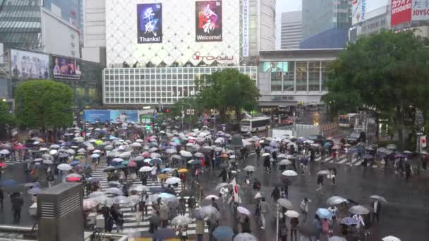 日本东京涩谷 2019年5月1日 在涩谷区 在雨天 在涩谷地区行人步行道的第一天 Reiwa Jidai 涩谷十字路口是世界上最繁忙的人行横道之一 — 图库视频影像