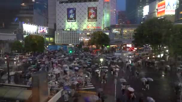 Shibuya Tokio Japón Mayo 2019 Primer Día Cruce Peatones Del — Vídeos de Stock