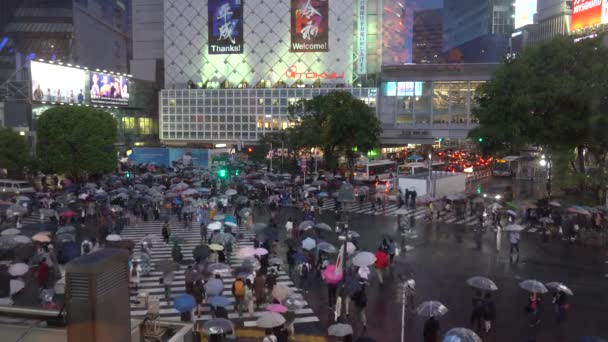 日本东京涩谷 2019年5月1日 在涩谷区 在雨天 在涩谷地区行人步行道的第一天 Reiwa Jidai 涩谷十字路口是世界上最繁忙的人行横道之一 — 图库视频影像