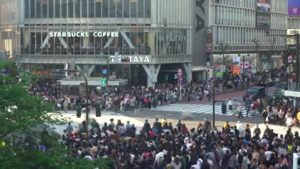Přejezd Shibuya Uhd Jeden Nejrušnějších Křížků Světě Přechod Chodců Okresu — Stock video