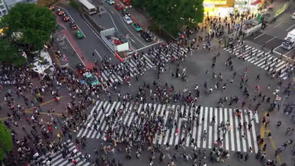 Shibuya Crossing Jest Jednym Najbardziej Ruchliwych Crossspacerów Świecie Pieszych Crosswalk — Wideo stockowe