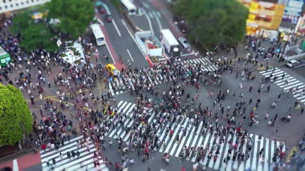 Shibuya Crossing Dünyanın Işlek Yaya Geçitlerinden Biridir Shibuya Semtinde Yayalar — Stok video