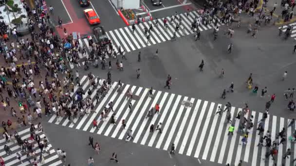 Shibuya Přejezd Jedním Nejrušnějších Křížníků Světě Přechod Chodců Okresu Shibuya — Stock video