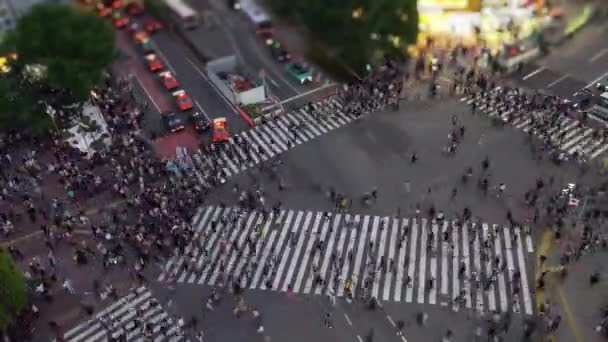 Shibuya Crossing Dünyanın Işlek Yaya Geçitlerinden Biridir Shibuya Semtinde Yayalar — Stok video
