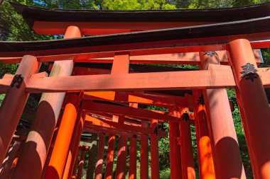 Fushimi Inari-taisha Tapınağı. Kırmızı Japon fenerleri ile binlerce sayısız vermilion Torii kapıları, Fushimi Inari dini merkezi en önemli şinto kutsal ve Kyoto, Japonya'da en eski