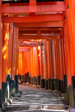 Fushimi Inari-taisha Tapınağı. Kırmızı Japon fenerleri ile binlerce sayısız vermilion Torii kapıları, Fushimi Inari dini merkezi en önemli şinto kutsal ve Kyoto, Japonya'da en eski