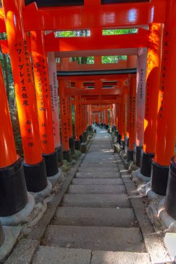 Fushimi Inari-taisha Tapınağı. Kırmızı Japon fenerleri ile binlerce sayısız vermilion Torii kapıları, Fushimi Inari dini merkezi en önemli şinto kutsal ve Kyoto, Japonya'da en eski