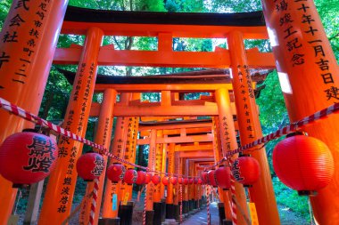Fushimi Inari-taisha Tapınağı. Kırmızı Japon fenerleri ile binlerce sayısız vermilion Torii kapıları, Fushimi Inari dini merkezi en önemli şinto kutsal ve Kyoto, Japonya'da en eski
