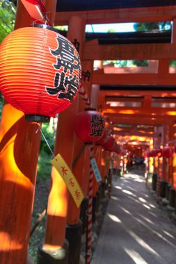 Fushimi Inari-taisha Tapınağı. Kırmızı Japon fenerleri ile binlerce sayısız vermilion Torii kapıları, Fushimi Inari dini merkezi en önemli şinto kutsal ve Kyoto, Japonya'da en eski