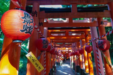 Fushimi Inari-taisha Tapınağı. Kırmızı Japon fenerleri ile binlerce sayısız vermilion Torii kapıları, Fushimi Inari dini merkezi en önemli şinto kutsal ve Kyoto, Japonya'da en eski