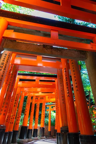 Fushimi Inari-taisha Tapınağı. Kırmızı Japon fenerleri ile binlerce sayısız vermilion Torii kapıları, Fushimi Inari dini merkezi en önemli şinto kutsal ve Kyoto, Japonya'da en eski