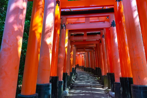 Fushimi Inari Taisha Shrine Thousands Countless Vermilion Torii Gates Red — Stock Photo, Image