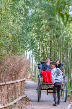 Arashiyama, Kyoto, Japonya'da bir bambu orman yolundan turistlere binen çekçek çekti - 12 Aralık 2018