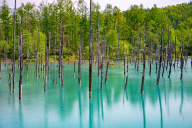 Mavi gölet (Aoas) yaz aylarında ağacın yansıması ile, Biei Town Shirogane Onsen yakınında bulunan, Hokkaido, Japonya