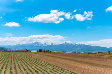 Dağlar ile panoramik kırsal manzara. Bahar güzel güneşli bir gün içinde tarım alanı üzerinde geniş mavi gökyüzü ve beyaz bulutlar.