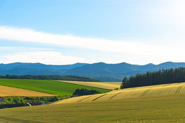 Dağlar ile panoramik kırsal manzara. Bahar güzel güneşli bir gün içinde tarım alanı üzerinde geniş mavi gökyüzü ve beyaz bulutlar.