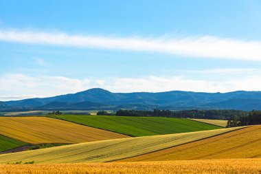 Dağlar ile panoramik kırsal manzara. Bahar güzel güneşli bir gün içinde tarım alanı üzerinde geniş mavi gökyüzü ve beyaz bulutlar.