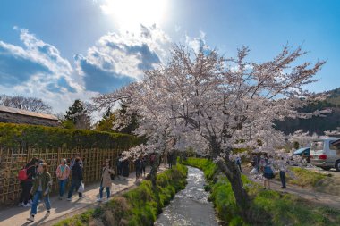 Mt. Fuji, yakınlarındaki antik Oshino Hakkai kasabada tam bloom kiraz çiçekleri sakura Festivali Fuji beş göl bölgesi, Minamitsuru bölgesi, Yamanashi ili, Japonya.