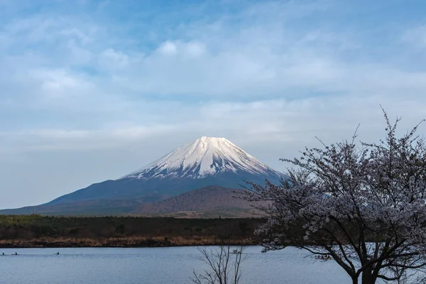A Fuji-hegy vagy a Ft. Fuji, a világörökség, kilátás a Shoji tónál (Shojiko). Fuji Five Lake régió, Minamitsuru körzet, Yamanashi prefektúra, Japán. Kirándulási célú táj. — Stock Fotó
