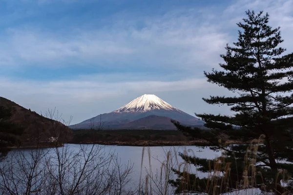 Mount Fuji or Mt. Fuji, the World Heritage, view at Lake Shoji ( Shojiko ). Fuji Five Lake region, Minamitsuru District, Yamanashi prefecture, Japan. Landscape for travel destination. — Stock Photo, Image