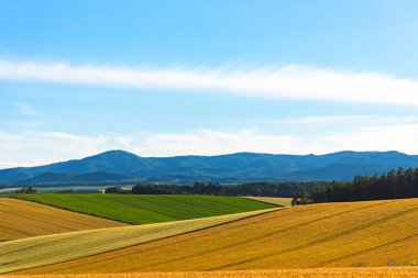 Dağlar ile panoramik kırsal manzara. Bahar güzel güneşli bir gün içinde tarım alanı üzerinde geniş mavi gökyüzü ve beyaz bulutlar.