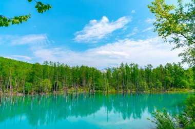 Mavi gölet (Aoas) yaz aylarında ağacın yansıması ile, Biei Town Shirogane Onsen yakınında bulunan, Hokkaido, Japonya 