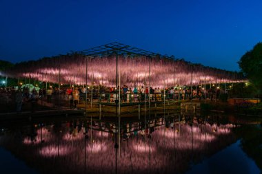 Tochigi Prefecture, Japonya 16 Nisan 2018: Ashikaga çiçek Parkı 'nda büyük Wisteria Festivali. Renkli tam çiçek açan çiçekler ile geceleri aydınlatılmış gizemli güzellik. Ünlü seyahat destinasyonu