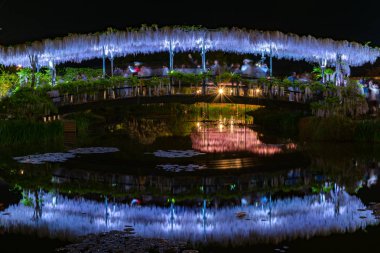 Tochigi Prefecture, Japonya 16 Nisan 2018: Ashikaga çiçek Parkı 'nda büyük Wisteria Festivali. Renkli tam çiçek açan çiçekler ile geceleri aydınlatılmış gizemli güzellik. Ünlü seyahat destinasyonu