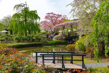 Tochigi Prefecture, Japonya 16 Nisan 2018: Ashikaga çiçek Parkı, Japonya 'da ünlü seyahat noktası. Bahar çiçeklenme çiçekler renkli çoklu tür.