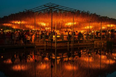 Tochigi Prefecture, Japonya 16 Nisan 2018: Ashikaga çiçek Parkı 'nda büyük Wisteria Festivali. Renkli tam çiçek açan çiçekler ile geceleri aydınlatılmış gizemli güzellik. Ünlü seyahat destinasyonu