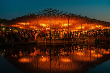 Tochigi Prefecture, Japonya 16 Nisan 2018: Ashikaga çiçek Parkı 'nda büyük Wisteria Festivali. Renkli tam çiçek açan çiçekler ile geceleri aydınlatılmış gizemli güzellik. Ünlü seyahat destinasyonu